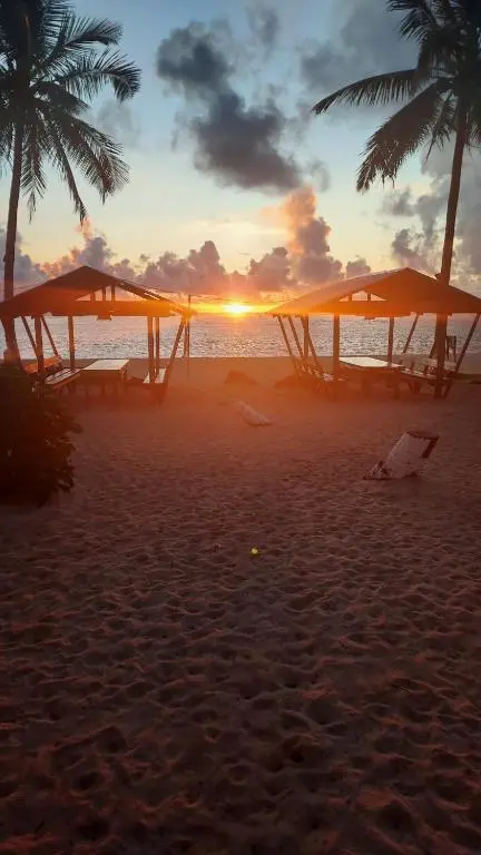 Golden hour at Alegria Beach - beautiful afternoon light on Santa Monica's northeast coast