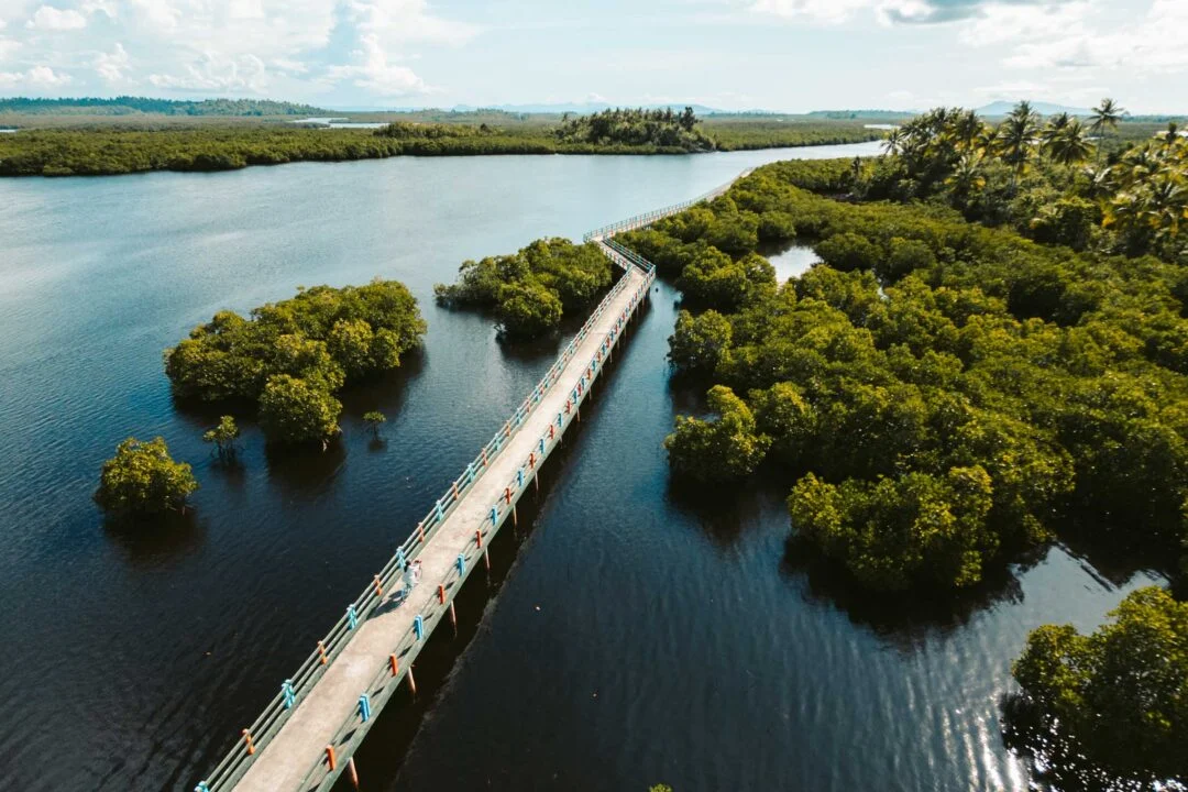 Peaceful scene from Del Carmen Mangrove Boardwalk