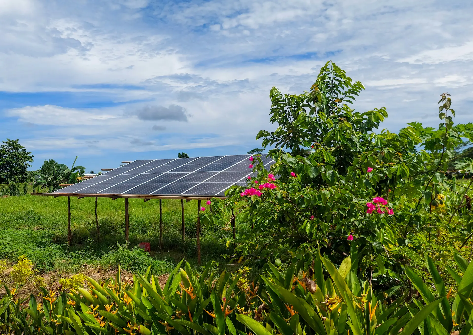 Solar panels powering Mariden Resort in Siargao