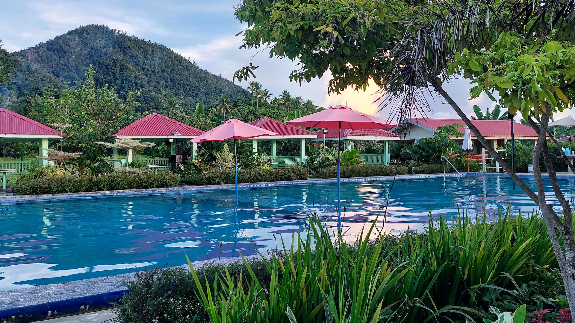 Lush tropical plants and trees around Mariden Resort